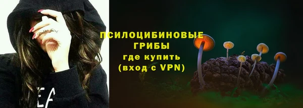 эйфоретик Баксан