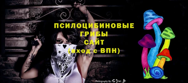 эйфоретик Баксан